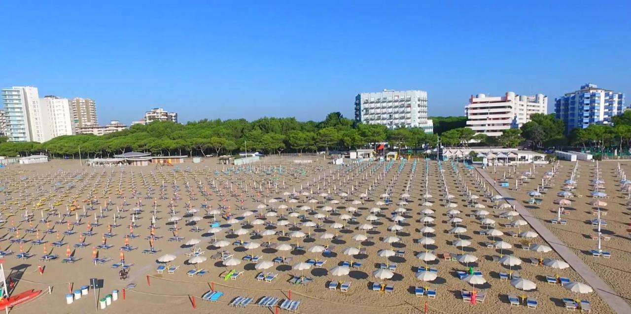 International Hotel 4*
